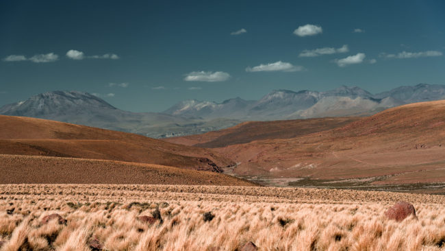 Lagunita, Chile - GPS -22.456873, -68.154698 - Sony A7III + SONY FE 24-105mm, F4 G OSS - 68mm - 1/640 - f/4.0 - ISO100