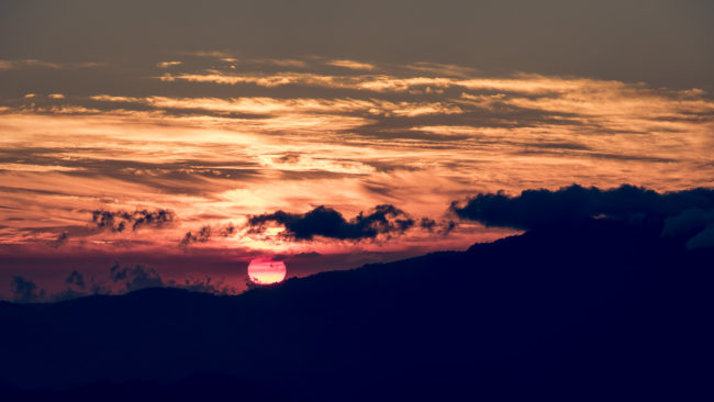 Potrero Cerrado, Costa Rica - GPS 9.931072, -83.879097 - Panasonic Lumix DMC-GH5 + Panasonic Lumix GX Vario 35-100mm f/2.8 Power OIS - 200mm - 1/80 - f/8.0 - ISO100