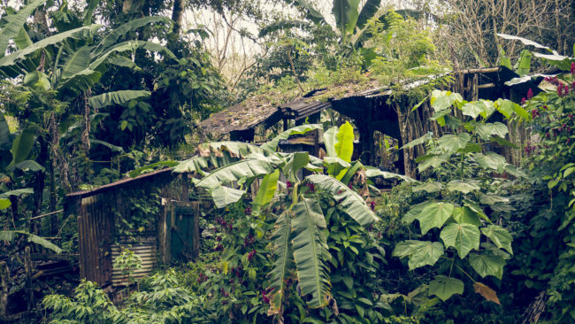 Río Chiquito, Costa Rica - GPS 10.446682, -84.854392 - Panasonic Lumix GX8 + LUMIX G VARIO 35-100/F2.8 - 70mm - 1/80 - f/2.8 - ISO200