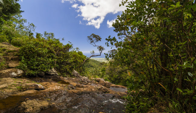 Le Marres, Mauritius - GPS -20.433087, 57.457140 - Canon EOS 7D + Tokina AF 11-16mm f/2.8 AT-X Pro DX -  - 1/60 - f/6.3 - ISO100