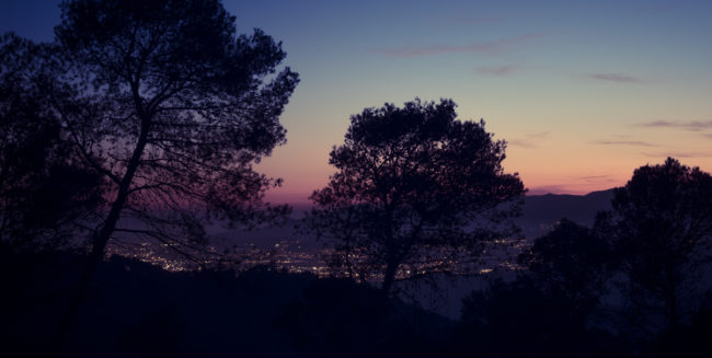 Ciudad Jardín, Spain - GPS 36.819797, -4.385017 - Panasonic GH4 + Panasonic Lumix G Vario 12-35mm/2,8 OIS - 70mm - 2/1 - f/5.0 - ISO200