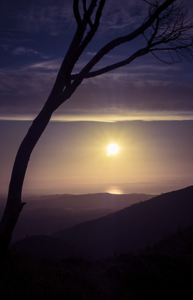 La Mairena, Spain - GPS 36.573420, -4.765837 - Panasonic GH4 + Panasonic Lumix G Vario 12-35mm/2,8 OIS - 58mm - 1/1250 - f/8.0 - ISO200