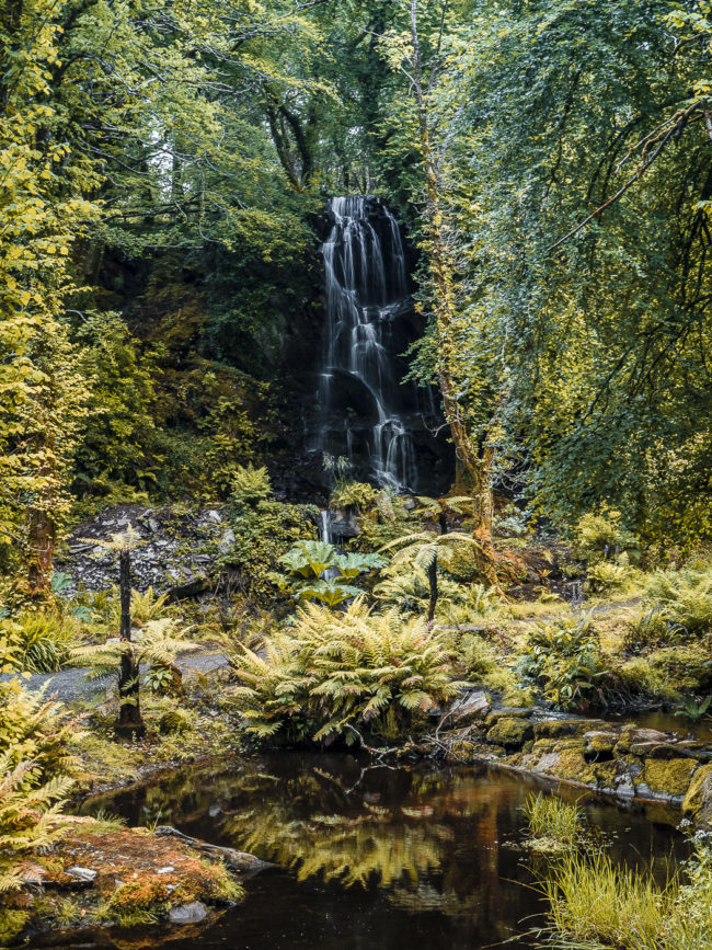 Kells, Ireland - GPS 52.022558, -10.101893 - Panasonic Lumix GX8 + Panasonic Lumix G Vario 12-35mm/2,8 OIS - 46mm - 1/8 - f/8.0 - ISO200