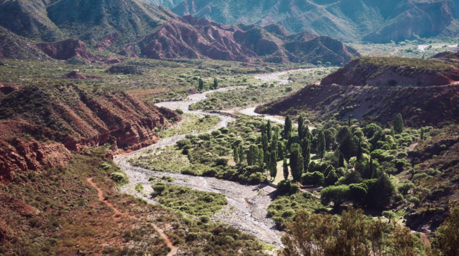 Los Tambillos, Argentina - GPS -29.347167, -67.756225 - Sony A7III + SONY FE 24-105mm, F4 G OSS - 81mm - 1/2500 - f/4.0 - ISO2000