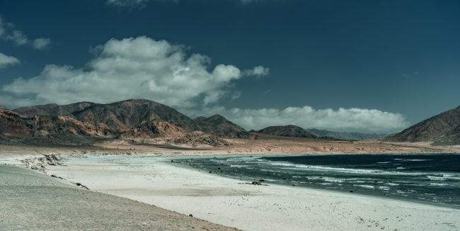 Puerto Pan de Azúcar, Chile - GPS -26.173498, -70.660588 - Sony A7III + SONY FE 24-105mm, F4 G OSS - 41mm - 1/800 - f/4.0 - ISO100