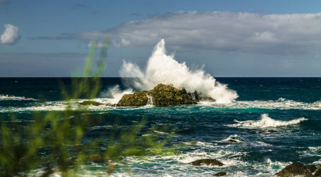 Almáciga, Spain - GPS 28.570978, -16.203802 - Canon EOS 1100D + Tamron AF 17-50mm 2,8 XR Di II LD ASL -  - 1/200 - f/8.0 - ISO100