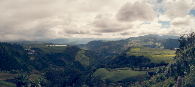 Juan Viñas, Costa Rica - GPS 9.887340, -83.752563 - Panasonic Lumix DMC-GH5 + LUMIX G VARIO 12-35/F2.8 - 24mm - 1/100 - f/8.0 - ISO100