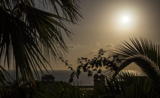 Los Cancajos, Spain - GPS 28.646283, -17.759997 - Panasonic GH4 + Panasonic Lumix G X VARIO 35-100mm f/2.8 Power OIS - 70mm - 1/100 - f/2.8 - ISO200