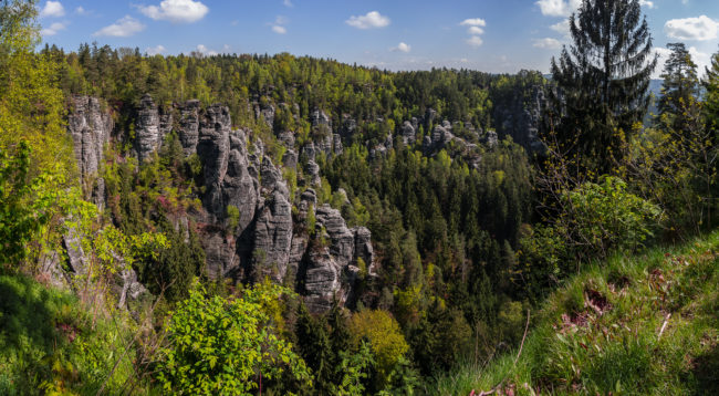 Oberrathen, Germany - GPS 50.963577, 14.069970 - SONY DSC-RX100 + 28-100mm F1.8-4.9 -  - 1/400 - f/4.5 - ISO80
