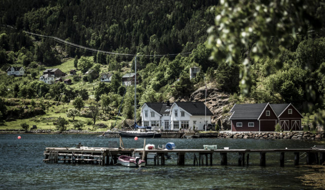 Engjane, Norway - GPS 61.130472, 6.482680 - Panasonic GH4 + Panasonic Lumix G X VARIO 35-100mm f/2.8 Power OIS - 114mm - 1/320 - f/2.8 - ISO100