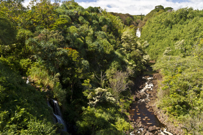Wailua Ahupua`a, Hawaii - GPS 19.907093, -155.135688 - Canon EOS 7D + Sigma 17-50mm, F2,8 EX DC OS HSM -  - 1/80 - f/5.6 - ISO100