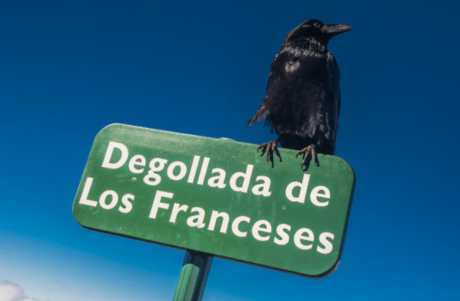 Hoyagrande, Spain - GPS 28.761250, -17.867123 - Panasonic GH4 + Panasonic Lumix G Vario 12-35mm/2,8 OIS - 50mm - 1/320 - f/8.0 - ISO200