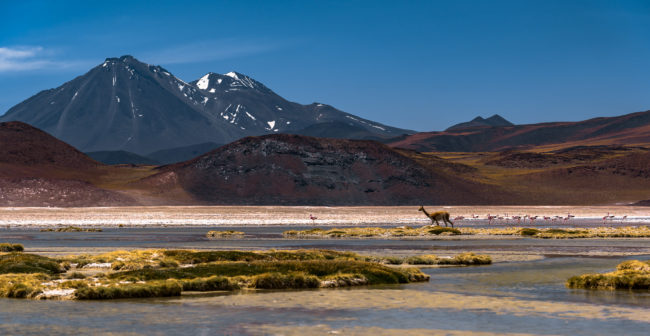 Campamento El Laco, Chile - GPS -23.954785, -67.580303 - Sony A7III + SONY FE 24-105mm, F4 G OSS - 105mm - 1/250 - f/6.3 - ISO100
