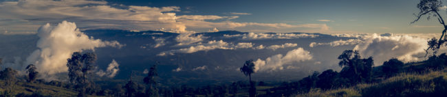 San Pablo, Costa Rica - GPS 9.973333, -83.828888 - Panasonic Lumix DMC-GH5 + LUMIX G VARIO 35-100/F2.8 - 70mm - 1/250 - f/8.0 - ISO100