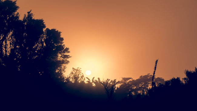 San Gerardo de Dota, Costa Rica - GPS 9.573357, -83.756965 - Panasonic Lumix GX8 + Panasonic Lumix GX Vario 35-100mm f/2.8 Power OIS - 98mm - 1/100 - f/8.0 - ISO200