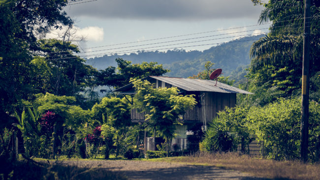 Sábalo, Costa Rica - GPS 8.759452, -83.500922 - Panasonic Lumix GX8 + LUMIX G VARIO 35-100/F2.8 - 112mm - 1/640 - f/2.8 - ISO200