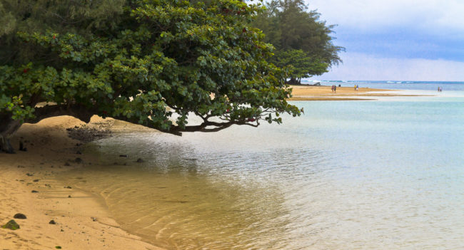 Kalihi Wai, Hawaii - GPS 22.224155, -159.446653 - Canon EOS 7D + Sigma 17-50mm, F2,8 EX DC OS HSM -  - 1/80 - f/4.0 - ISO100