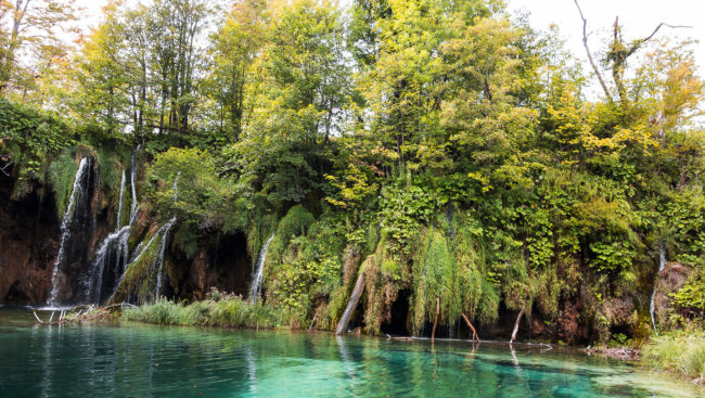 Plitvica Seen, Croatia - GPS 44.876110, 15.609287 - SONY DSC-RX100 + 28-100mm F1.8-4.9 - 28mm - 1/100 - f/3.5 - ISO125
