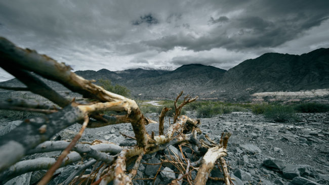 Villa Corral, Argentina - GPS -31.253128, -69.188883 - Sony A7III + Laowa 15mm f/2 -  - 1/160 - f/8.0 - ISO100