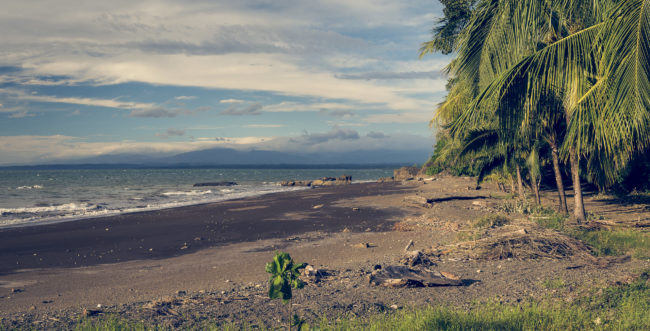 Agujas, Costa Rica - GPS 9.726667, -84.650833 - Panasonic Lumix GX8 + LUMIX G VARIO 12-35/F2.8 - 48mm - 1/160 - f/8.0 - ISO200
