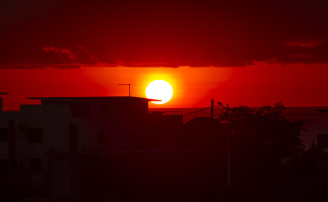 Palmyre, Mauritius - GPS -20.278120, 57.382450 - Canon EOS 7D + Canon EF 70-200mm f/4 USM L IS -  - 1/250 - f/8.0 - ISO100