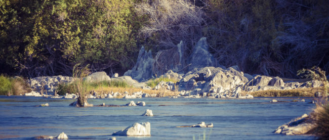 Sendelingsdrif, Namibia - GPS -28.074531, 16.939439 - Sony A6500 + SONY FE 100-400mm F4.5-5.6 G Master + SONY SEL14TC - 840mm - 1/160 - f/8.0 - ISO640