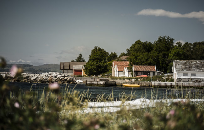 Strand, Norway - GPS 59.046638, 5.923963 - Panasonic GH4 + Panasonic Lumix G X VARIO 35-100mm f/2.8 Power OIS - 114mm - 1/800 - f/2.8 - ISO100