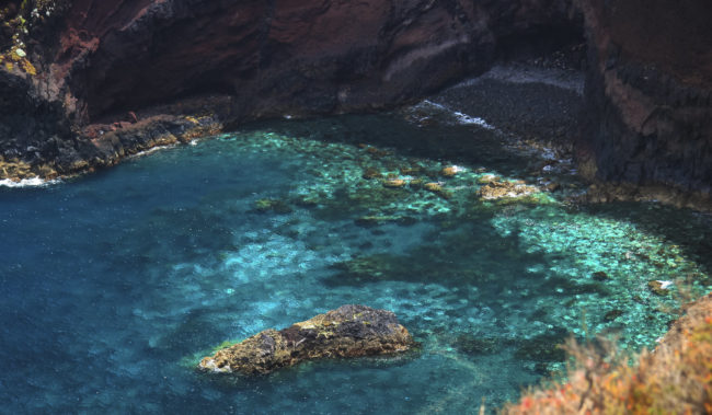 Caniçal, Portugal - GPS 32.749325, -16.709838 - Canon EOS 7D + Canon EF-S 17-85mm f/4-5.6 IS USM -  - 0/1 - f/8.0 - ISO100