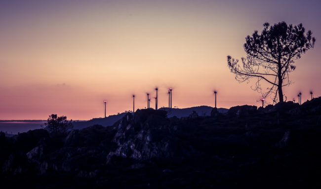 Gestoso, Portugal - GPS 40.873600, -8.233720 - Panasonic GH4 + Panasonic Lumix G X VARIO 35-100mm f/2.8 Power OIS - 200mm - 25/10 - f/13.0 - ISO400