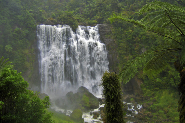 Te Anga, New Zealand - GPS -38.261402, 174.850942 - Canon EOS 20D + Canon EF-S 17-85mm f/4-5.6 IS USM -  - 1/100 - f/8.0 - ISO100