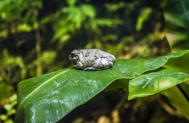 Santa Maria dos Olivais, Portugal - GPS 38.763333, -9.093612 - Panasonic GH4 + Panasonic Lumix G Vario 12-35mm/2,8 OIS - 70mm - 1/40 - f/2.8 - ISO800
