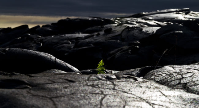 Kealakomo Ahupua`a, Hawaii - GPS 19.293273, -155.148303 - Canon EOS 7D + Sigma 17-50mm, F2,8 EX DC OS HSM -  - 1/400 - f/8.0 - ISO100