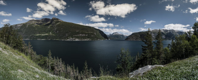 Brimnes, Norway - GPS 60.468253, 6.882218 - Panasonic GH4 + Panasonic Lumix G Vario 12-35mm/2,8 OIS -  - 1/80 - f/8.0 - ISO100