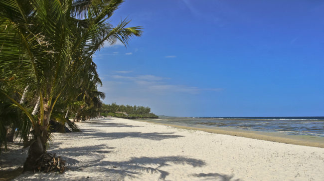 Tiwi, Kenya - GPS -4.241293, 39.602940 - Canon EOS 20D + Canon EF-S 17-85mm f/4-5.6 IS USM -  - 1/100 - f/8.0 - ISO100