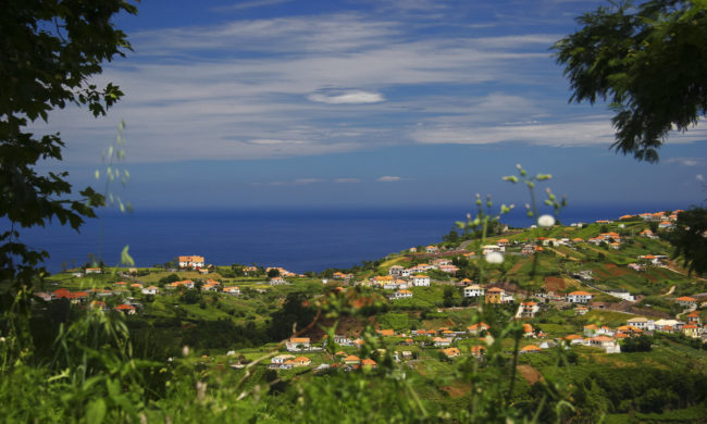 Eiras, Portugal - GPS 32.784508, -16.860563 - Canon EOS 7D + Canon EF-S 17-85mm f/4-5.6 IS USM -  - 0/1 - f/8.0 - ISO100