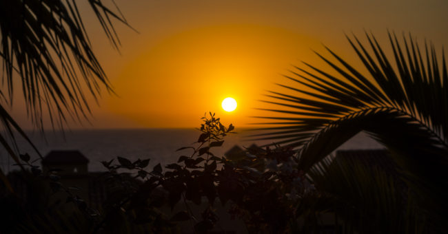 Los Cancajos, Spain - GPS 28.646283, -17.759997 - SONY DSC-RX100 + 28-100mm F1.8-4.9 - 100mm - 1/320 - f/9.0 - ISO80
