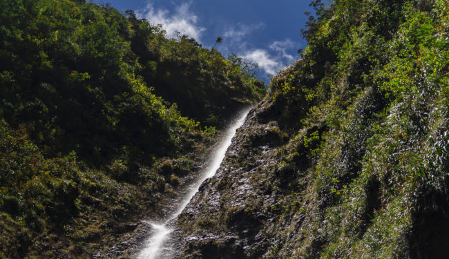 Premier Village, Ile De La Reunion - GPS -21.119047, 55.624332 - Canon EOS 7D + Sigma 17-50mm, F2,8 EX DC OS HSM -  - 1/4000 - f/2.8 - ISO320