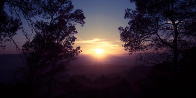 Ciudad Jardín, Spain - GPS 36.819797, -4.385017 - SONY DSC-RX100 IV + 27-70mm F1.8-2.8 - 52mm - 1/60 - f/9.0 - ISO80