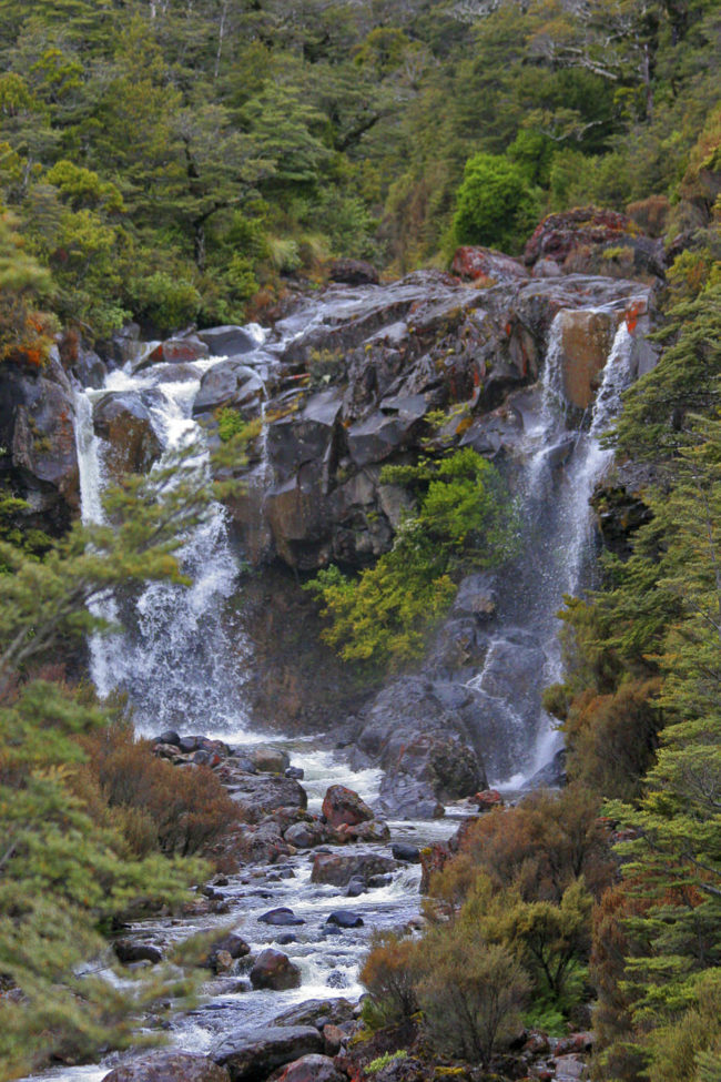 Pokaka, New Zealand - GPS -39.319757, 175.502365 - Canon EOS 20D + Canon EF-S 17-85mm f/4-5.6 IS USM -  - 1/100 - f/8.0 - ISO100