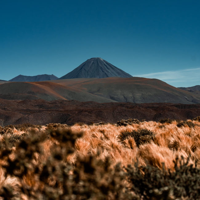 Machuca, Chile - GPS -22.667857, -68.044318 - Sony A7III + SONY FE 70-300mm F4.5-5.6 G OSS - 70mm - 1/5000 - f/5.0 - ISO1000