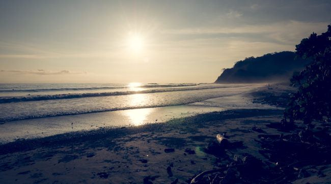 Primavera, Costa Rica - GPS 9.882945, -85.576252 - Panasonic Lumix GX8 + Panasonic LEICA DG SUMMILUX 12mm f1.4 - 24mm - 1/800 - f/8.0 - ISO200