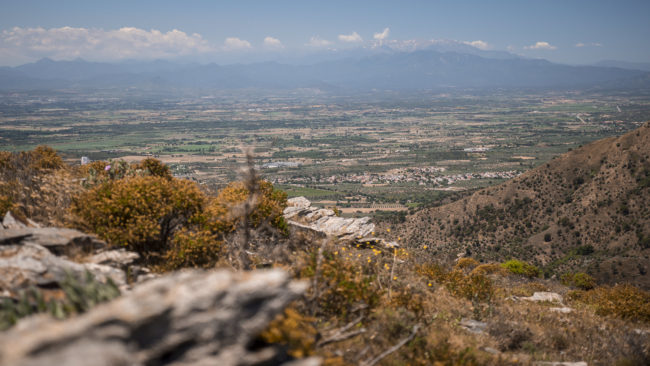 Montjoi, Spain - GPS 42.268767, 3.218240 - Panasonic Lumix GX8 + LUMIX G VARIO 12-35/F2.8 - 64mm - 1/1000 - f/2.8 - ISO200