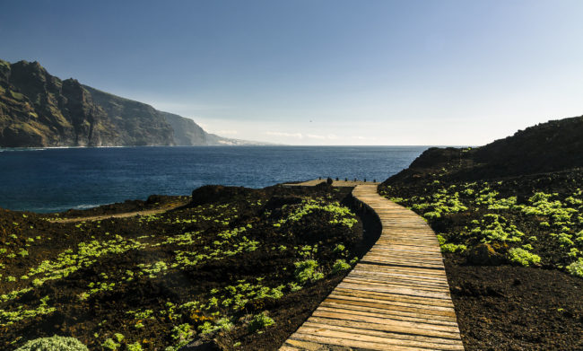 Los Carrizales, Spain - GPS 28.342248, -16.921118 - Canon EOS 1100D + Tamron AF 17-50mm 2,8 XR Di II LD ASL -  - 1/125 - f/8.0 - ISO100