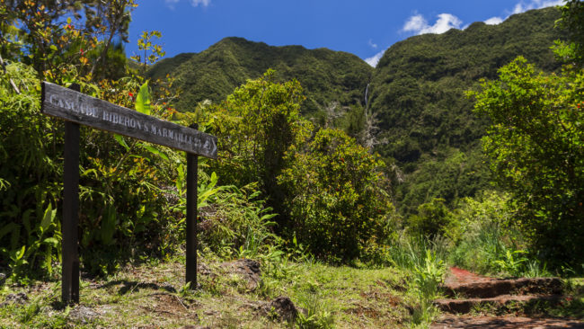 La Plaine-des-Palmistes, Réunion - GPS -21.125363, 55.628360 - Canon EOS 7D + Sigma 17-50mm, F2,8 EX DC OS HSM -  - 1/125 - f/4.0 - ISO100