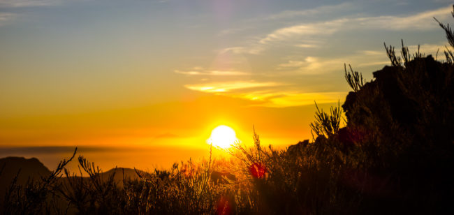Hoyagrande, Spain - GPS 28.753690, -17.884282 - SONY DSC-RX100 + 28-100mm F1.8-4.9 - 86mm - 1/200 - f/9.0 - ISO100
