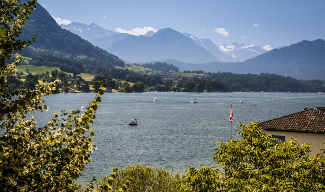 Küssnacht SZ, Switzerland - GPS 47.077928, 8.429623 - Panasonic GH4 + Panasonic Lumix G Vario 12-35mm/2,8 OIS - 70mm - 1/200 - f/8.0 - ISO200