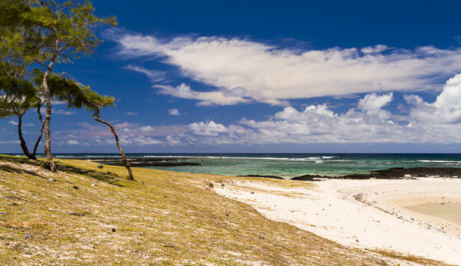 Trou d’Eau Douce, Mauritius - GPS -20.227765, 57.804840 - Canon EOS 7D + Sigma 17-50mm, F2,8 EX DC OS HSM -  - 1/160 - f/8.0 - ISO100