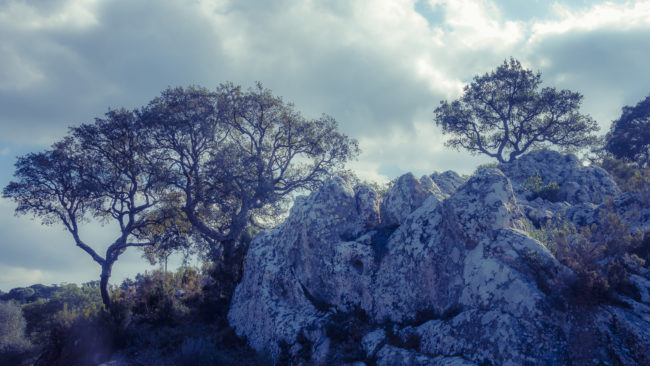 Castellar de la Frontera, Spain - GPS 36.305838, -5.459442 - SONY DSC-RX100 IV + 27-70mm F1.8-2.8 - 34mm - 1/50 - f/8.0 - ISO80