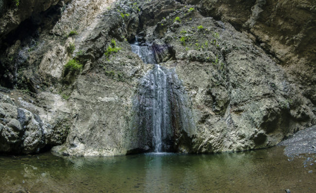 Barranco del Infierno, Spain - GPS 28.136807, -16.702223 - Canon EOS 7D + Walimex Pro 8mm, f3,5, Fisheye -  - 1/40 - f/11.0 - ISO640