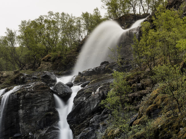 Kongsvoll, Norway - GPS 62.318018, 9.619352 - Panasonic GH4 + Panasonic Lumix G X VARIO 35-100mm f/2.8 Power OIS - 112mm - 20/1 - f/8.0 - ISO100